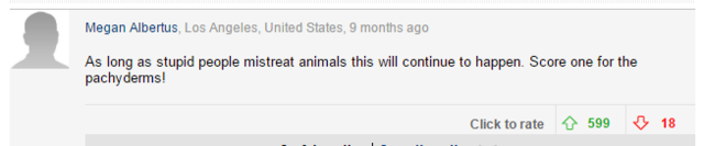 大象旅游业背后，被损害的它们和他们