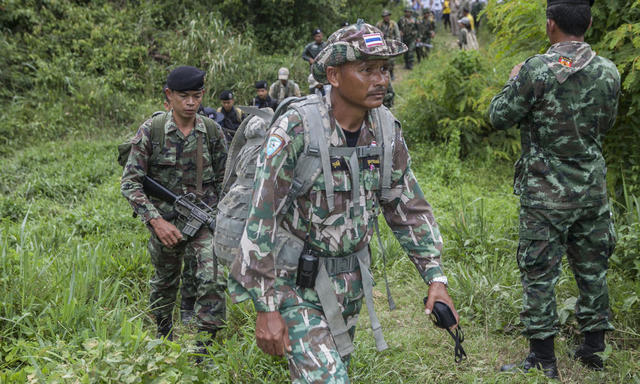 大象旅游业背后，被损害的它们和他们