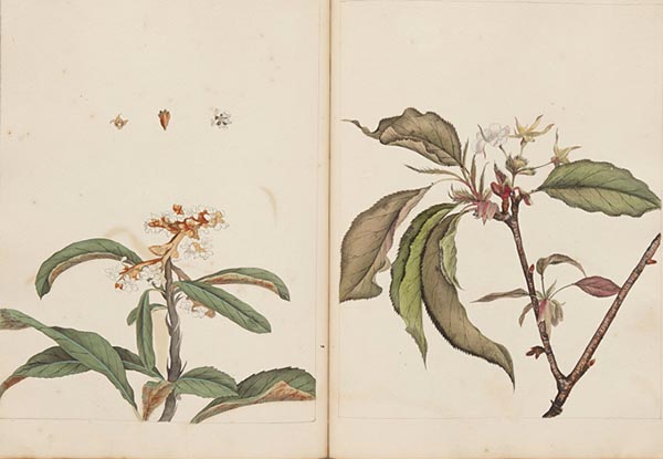 看展览|花花世界之中，窥见东西洋艺术的交汇