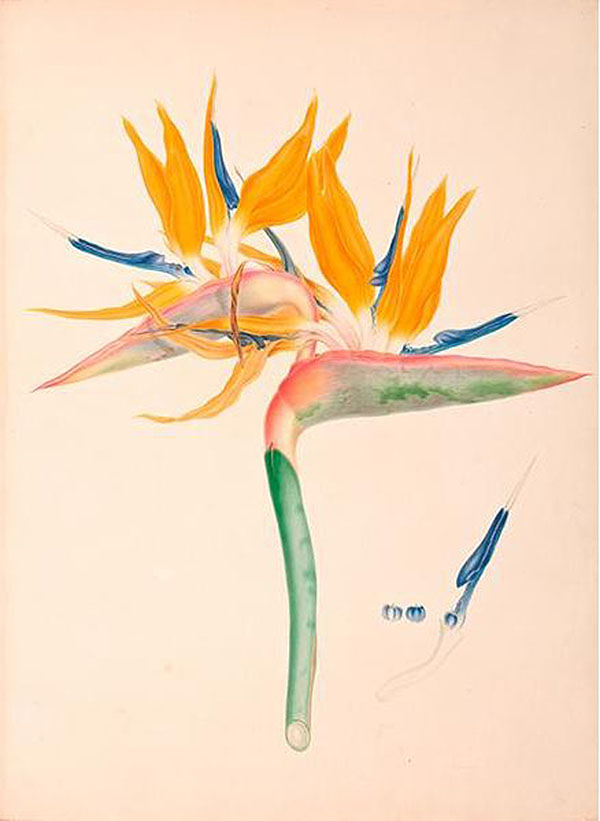 看展览|花花世界之中，窥见东西洋艺术的交汇