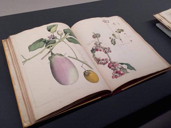 看展览|花花世界之中，窥见东西洋艺术的交汇