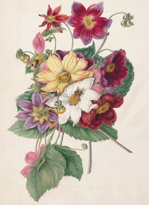 看展览|花花世界之中，窥见东西洋艺术的交汇