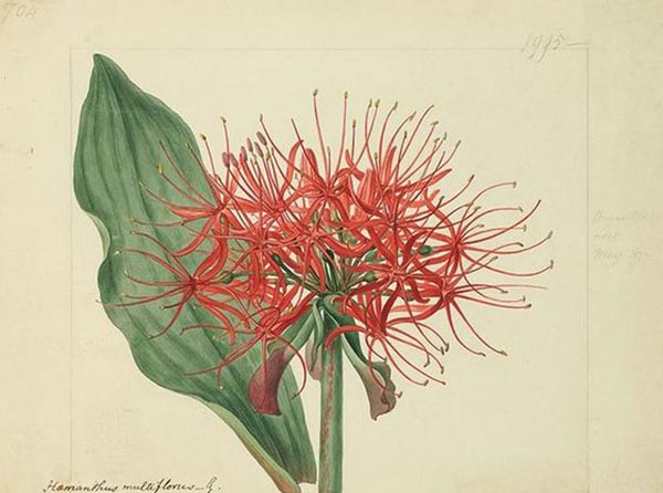 看展览|花花世界之中，窥见东西洋艺术的交汇