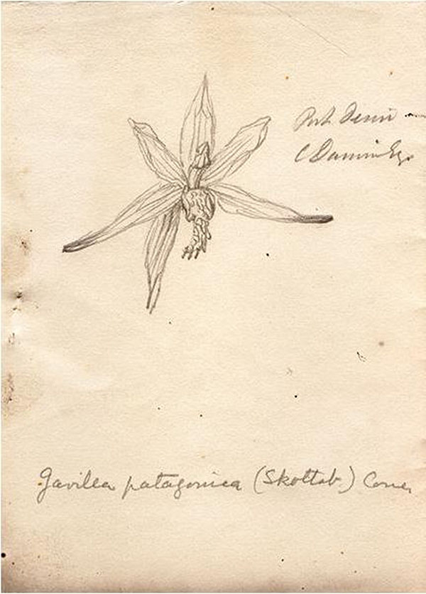 看展览|花花世界之中，窥见东西洋艺术的交汇