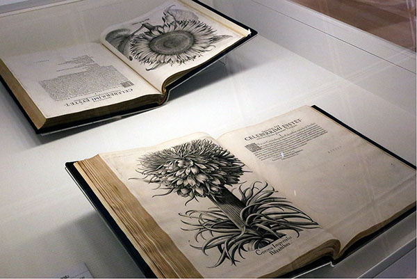 看展览|花花世界之中，窥见东西洋艺术的交汇