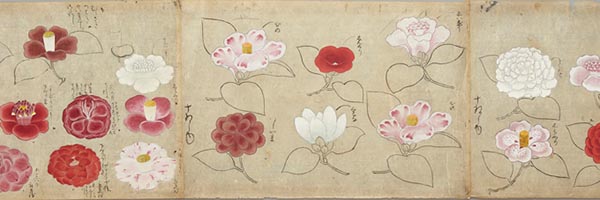 看展览|花花世界之中，窥见东西洋艺术的交汇