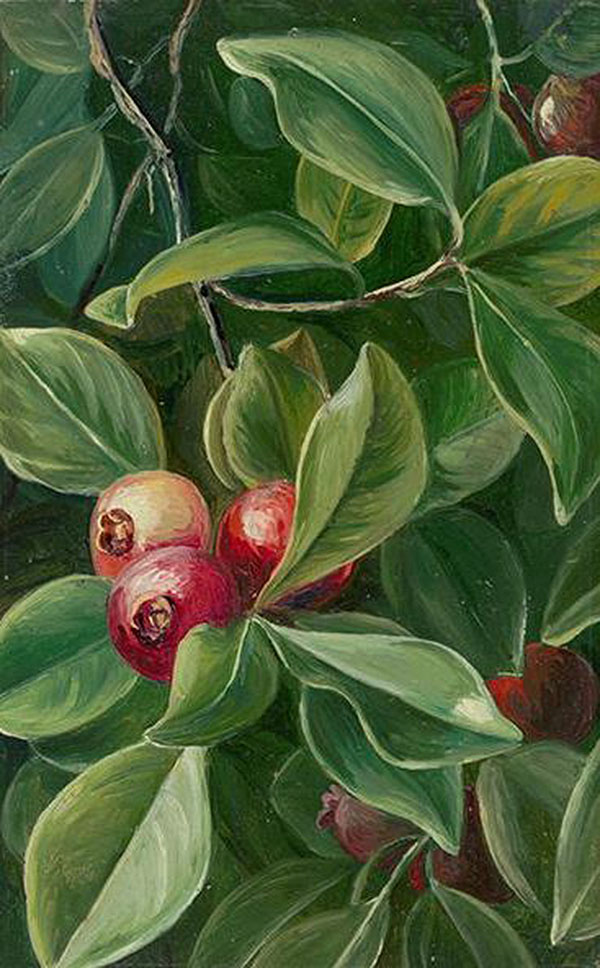 看展览|花花世界之中，窥见东西洋艺术的交汇