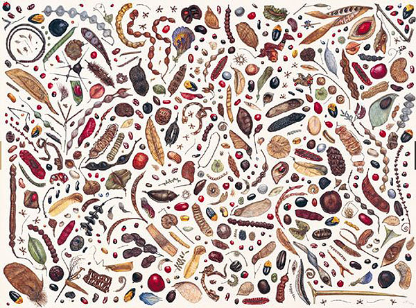 看展览|花花世界之中，窥见东西洋艺术的交汇