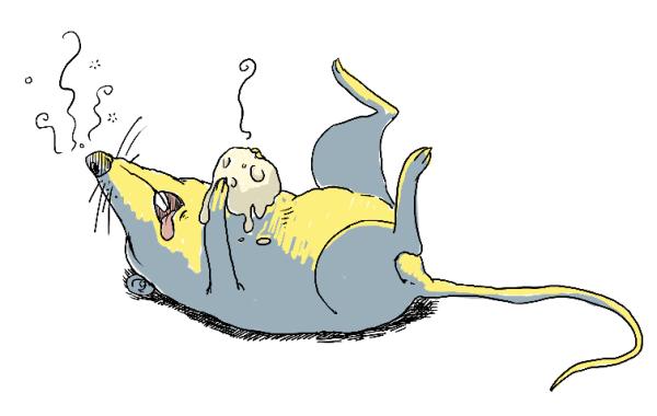 【答网友问】中暑也会死亡吗？