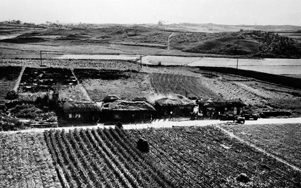 一棵白杨树惹的祸：冷战时美国如何处理朝鲜危机