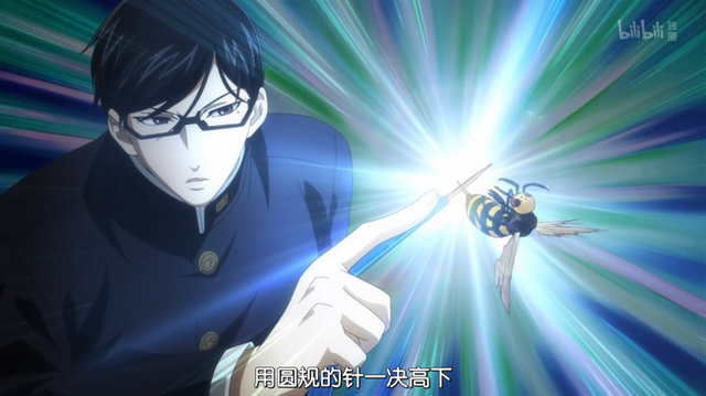 看《在下坂本》，认识蜇人胡蜂