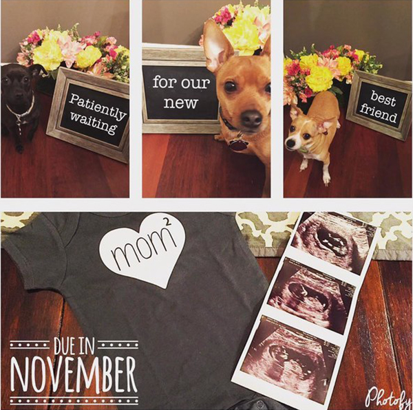 听同志父母们讲述，虽然艰难他们仍想拥有完整的家庭幸福