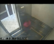 TING闻｜还记得蓝可儿神秘死亡的酒店吗，有人要租99年