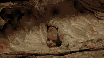 TING闻｜还记得蓝可儿神秘死亡的酒店吗，有人要租99年