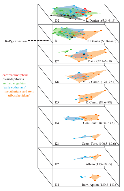 哺乳类的“吃货”兴起时，恐龙的灭绝还遥遥无期