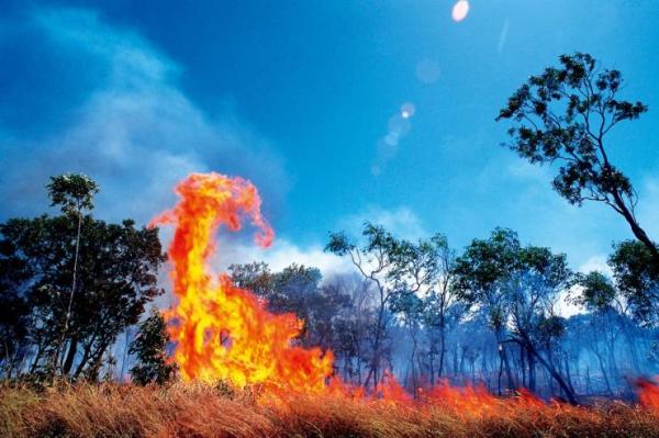 殖民者的发明：澳大利亚是如何“被干旱”的