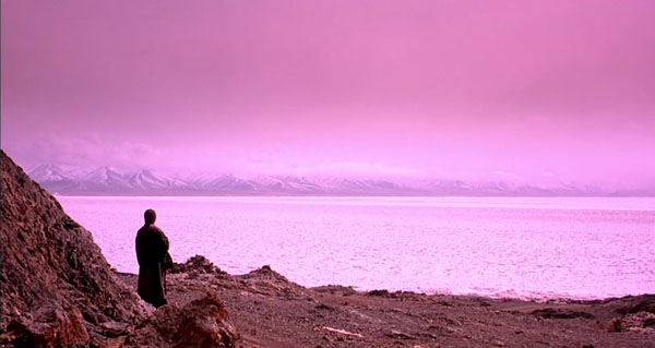 上海国际电影节金爵奖纪录片单元“五朵金花”，哪个视角更广