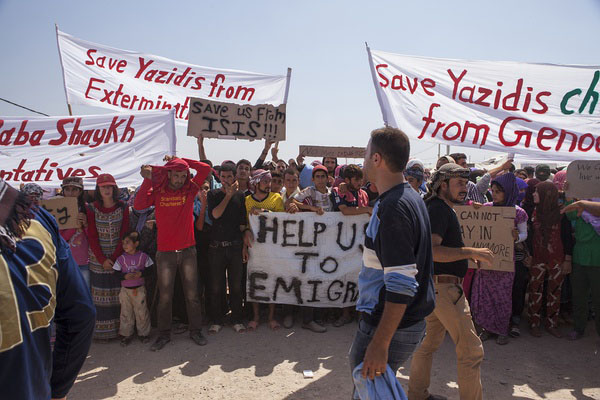 上海国际电影节金爵奖纪录片单元“五朵金花”，哪个视角更广