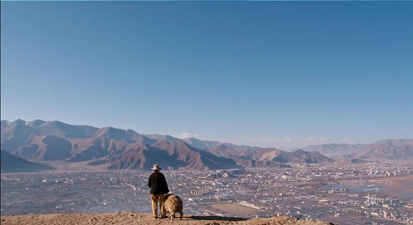 上海国际电影节金爵奖纪录片单元“五朵金花”，哪个视角更广