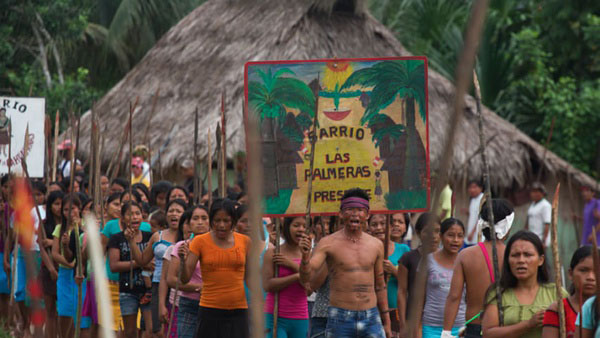 上海国际电影节金爵奖纪录片单元“五朵金花”，哪个视角更广