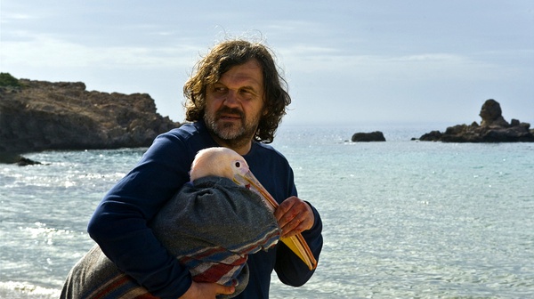 埃米尔·库斯图里卡到底是谁？