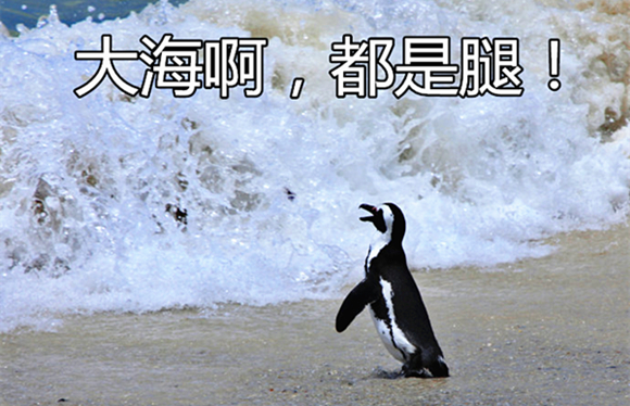 澎湃联播|“不如跳舞，谈恋爱不如跳舞”