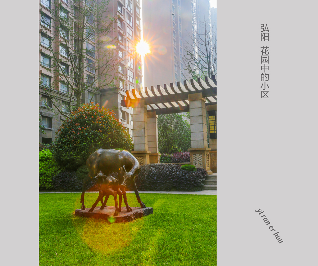 弘阳 花园中的小区 (4).jpg