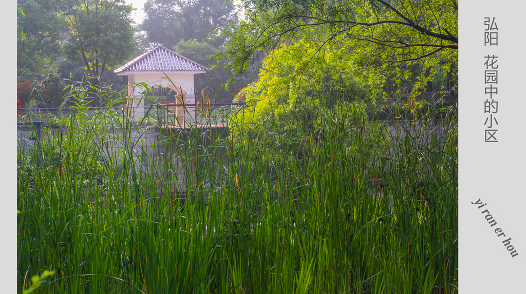 弘阳 花园中的小区 (7).jpg