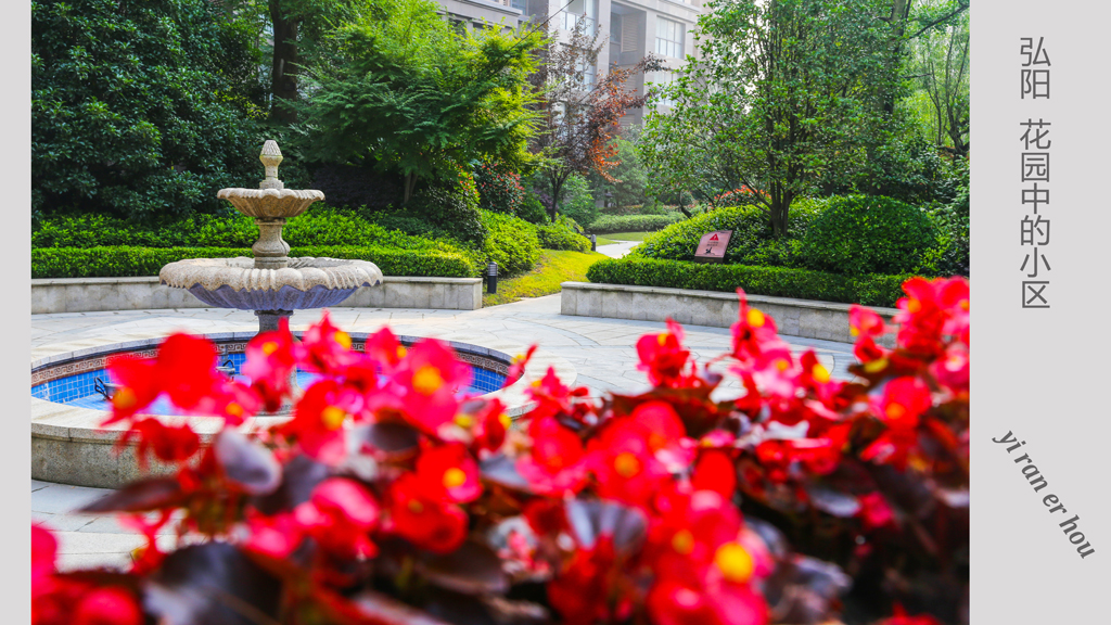 弘阳 花园中的小区 (8).jpg