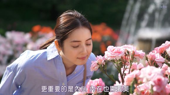 你太美，快来纳个税