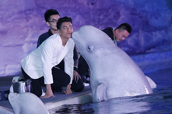 海报栏｜电影节赶场追星的休息了，劳模们还不行啊