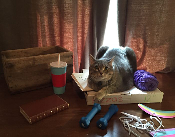 趣看｜一条像极Pusheen的喵表示，COS界不止有人类