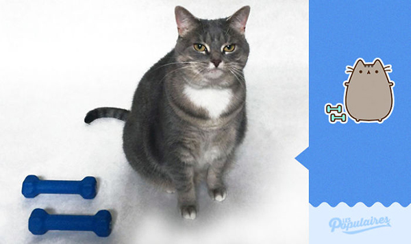 趣看｜一条像极Pusheen的喵表示，COS界不止有人类