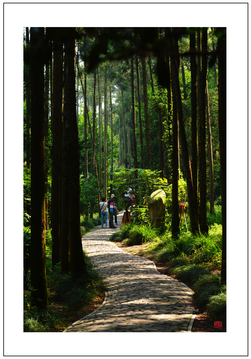 林深不知处3.jpg