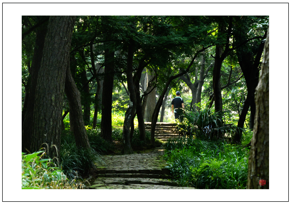 林深不知处10.jpg