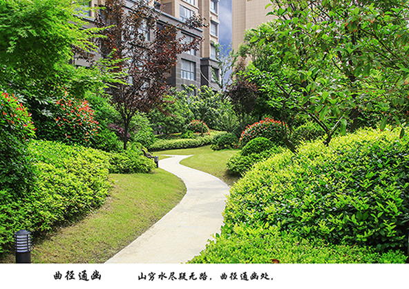 3、曲径通幽.jpg