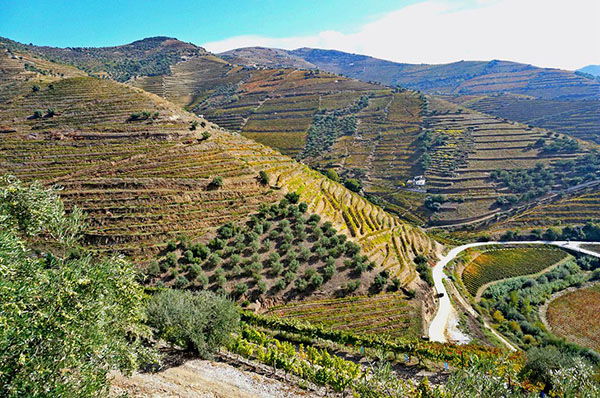 绝世葡萄园，世遗迷必访