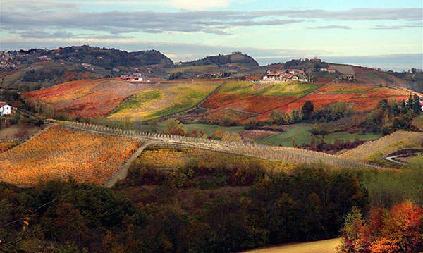 绝世葡萄园，世遗迷必访