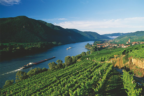 绝世葡萄园，世遗迷必访