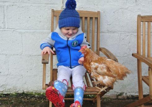 看球笔记 | 没有东方不败的内功，霍奇森别拿根针耍贱