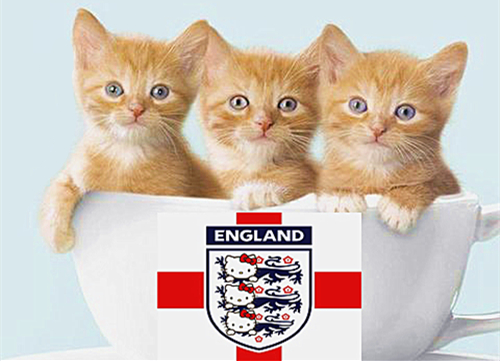 澎湃联播|若英国脱欧，或改变世界足球历史的进程