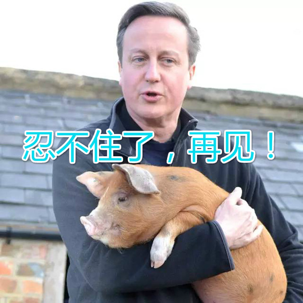 澎湃联播|英国脱离欧盟，背后暗藏一赢家？