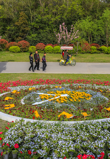 南通 崇川植物园 花艳景美游人乐 (2).jpg