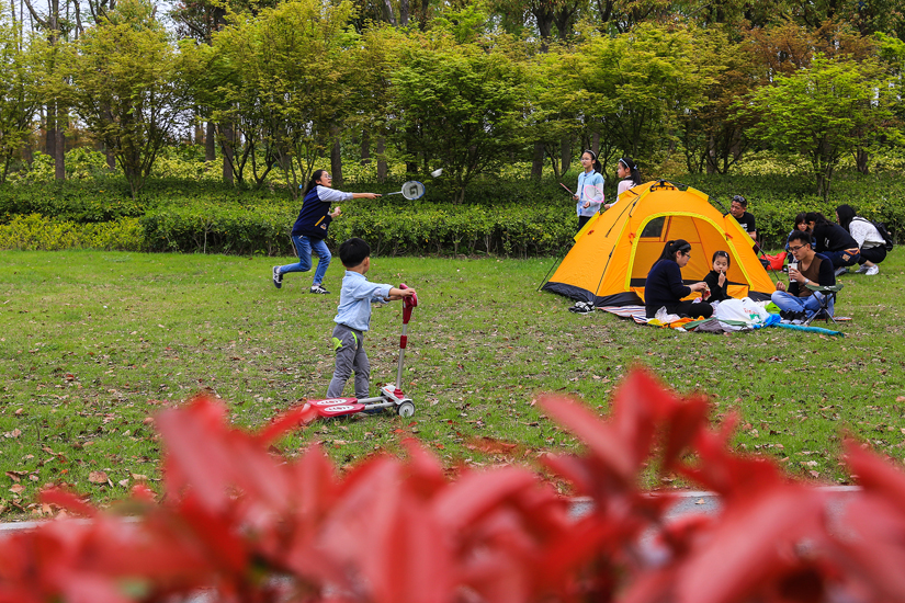 南通 崇川植物园 花艳景美游人乐 (3).jpg