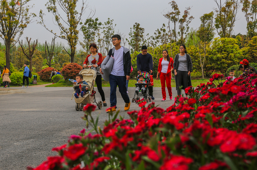 南通 崇川植物园 花艳景美游人乐 (4).jpg