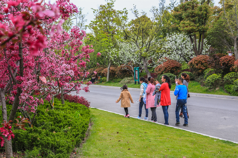 南通 崇川植物园 花艳景美游人乐 (6).jpg