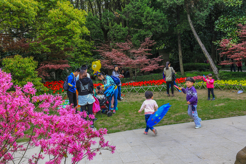 南通 崇川植物园 花艳景美游人乐 (7).jpg