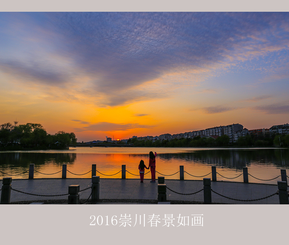 【大美崇川】  2016崇川春景美如画 (2).jpg