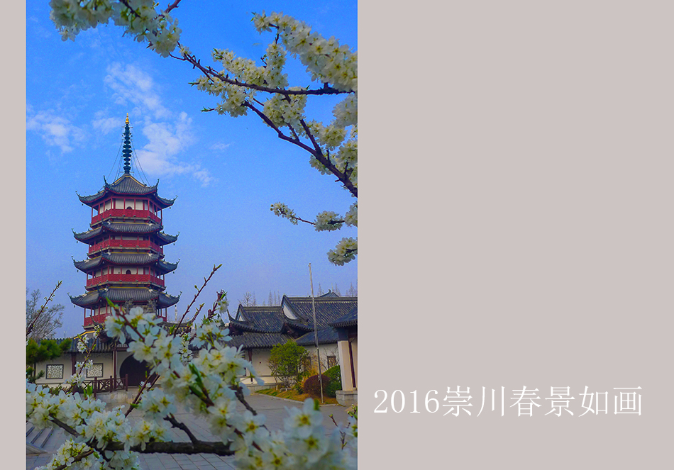 【大美崇川】  2016崇川春景美如画 (4).jpg