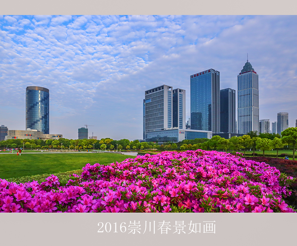 【大美崇川】  2016崇川春景美如画 (6).JPG